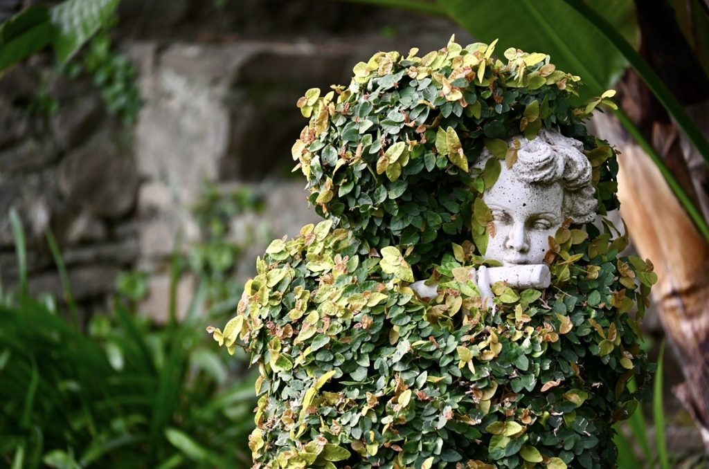 il parco di Villa della Pergola ad Alassio
